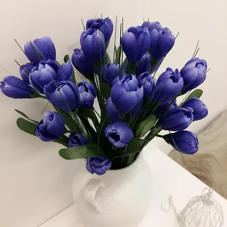 Magic Corner Ξενοδοχείο *