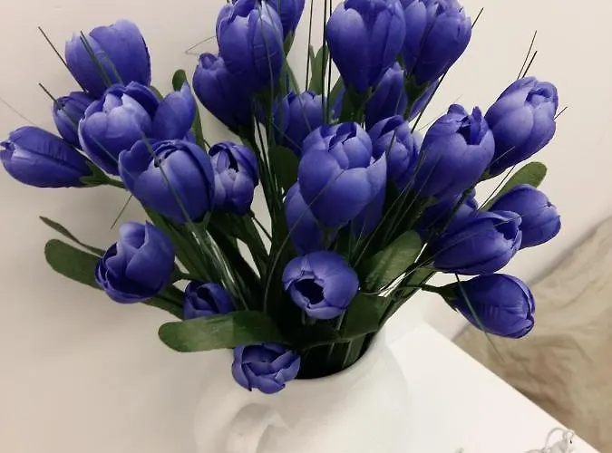 Magic Corner מלון *